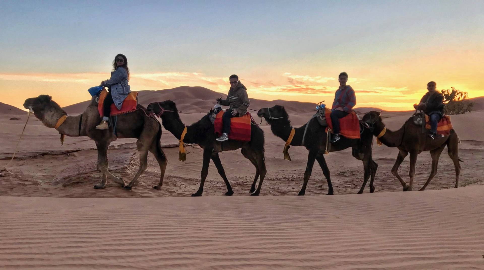 night Desert Camp,camel trekking, Days tours from Fes to Marrakech