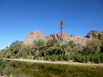 Full-Day Ouarzazate and Oasis Fint Private Tour