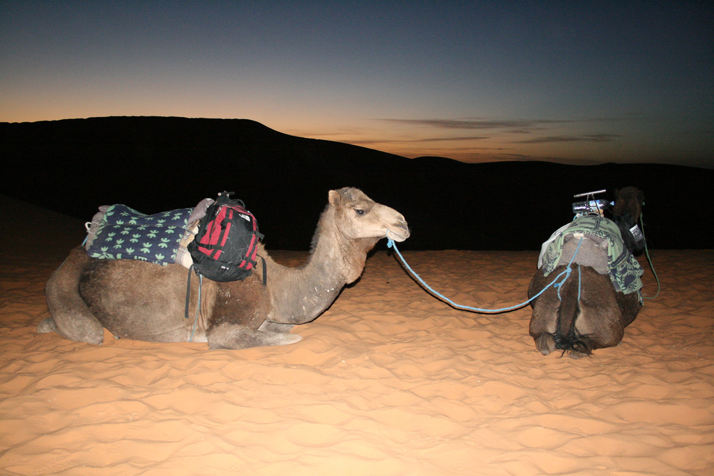 Night in Bivouac Desert Sahara: Merzouga - Erg Chebbi; Morocco camel trekking