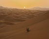 Sahara Desert Tours from Fes 4 Days