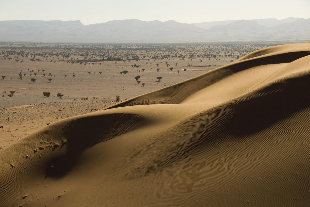Deserts of Morocco; Dunes of Desert Merzouga