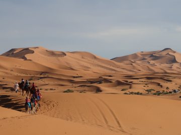 travel agency Marrakech Desert Morocco,3 days from marrakech to desert