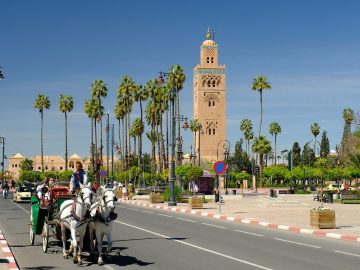 travel to morocco; Marrakech,Best Things To Do in Marrakech