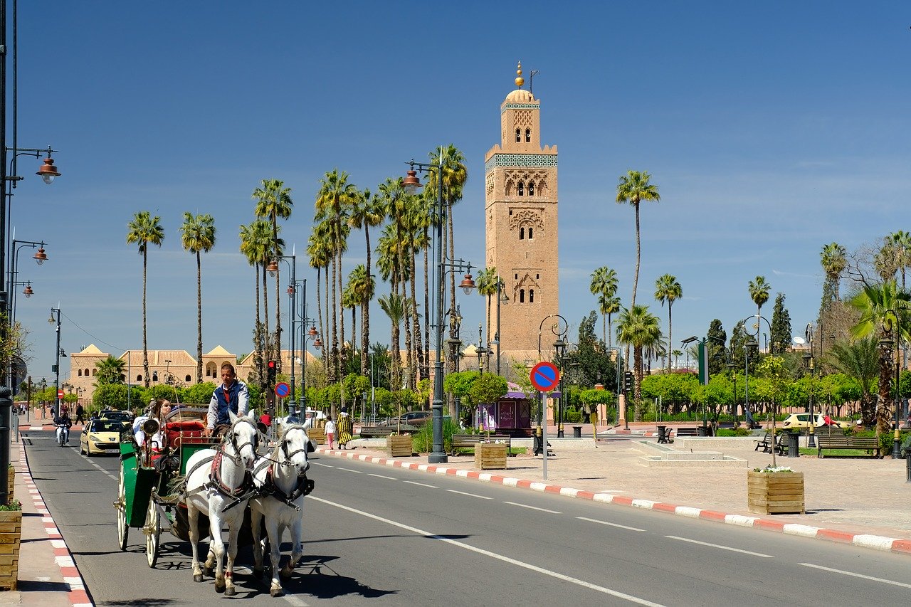travel to morocco; Marrakech,Best Things To Do in Marrakech
