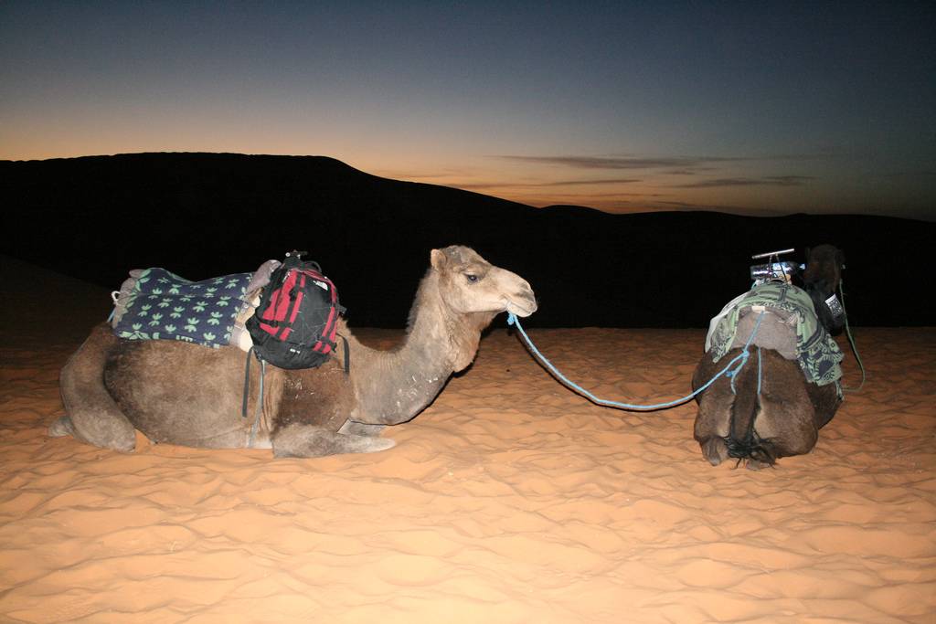 Travel to Sahara, Days from Marrakeck to Fes,Night in Bivouac Desert Sahara: Merzouga - Erg Chebbi